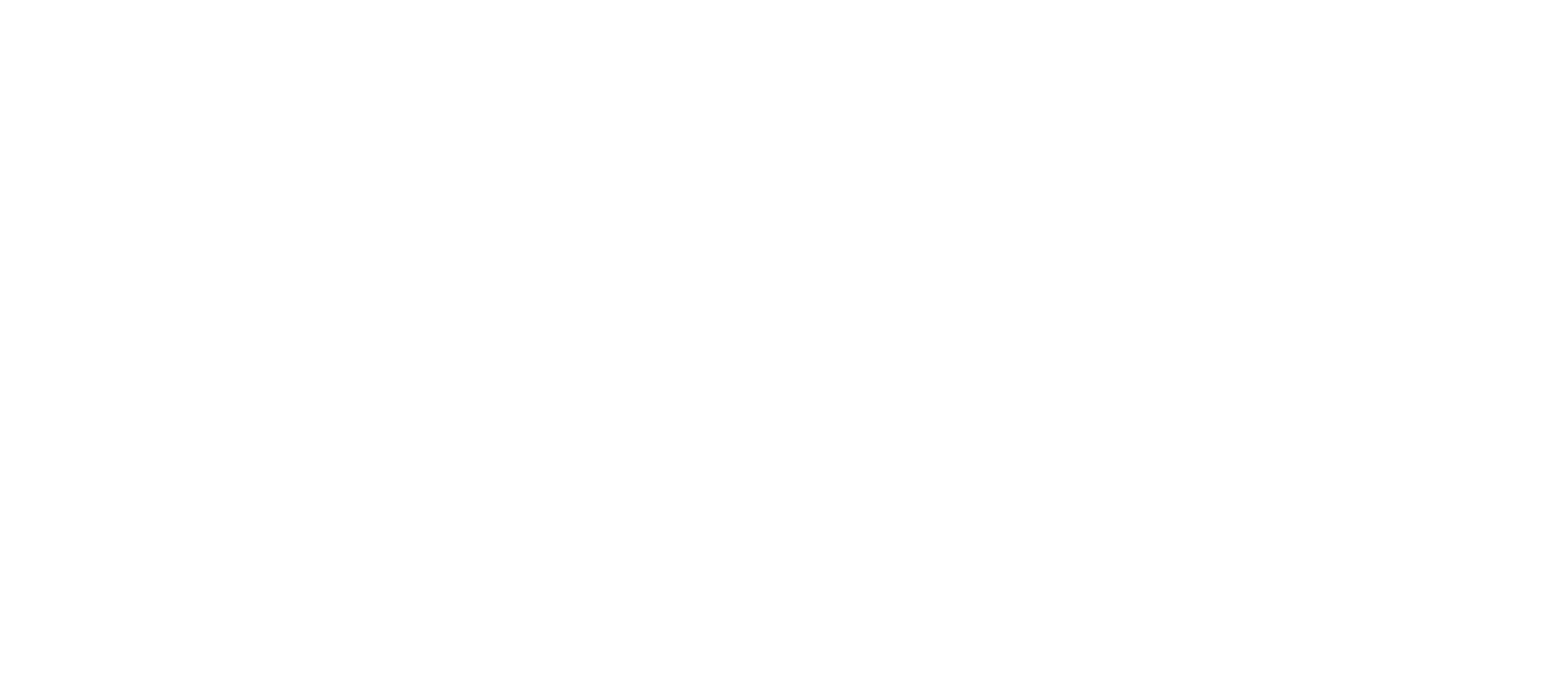 Preparação Fox - Preparador